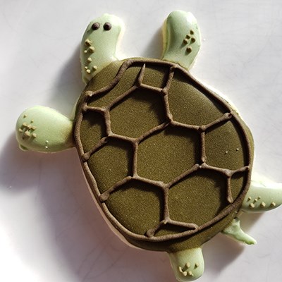 TurtlesNEWS.jpg