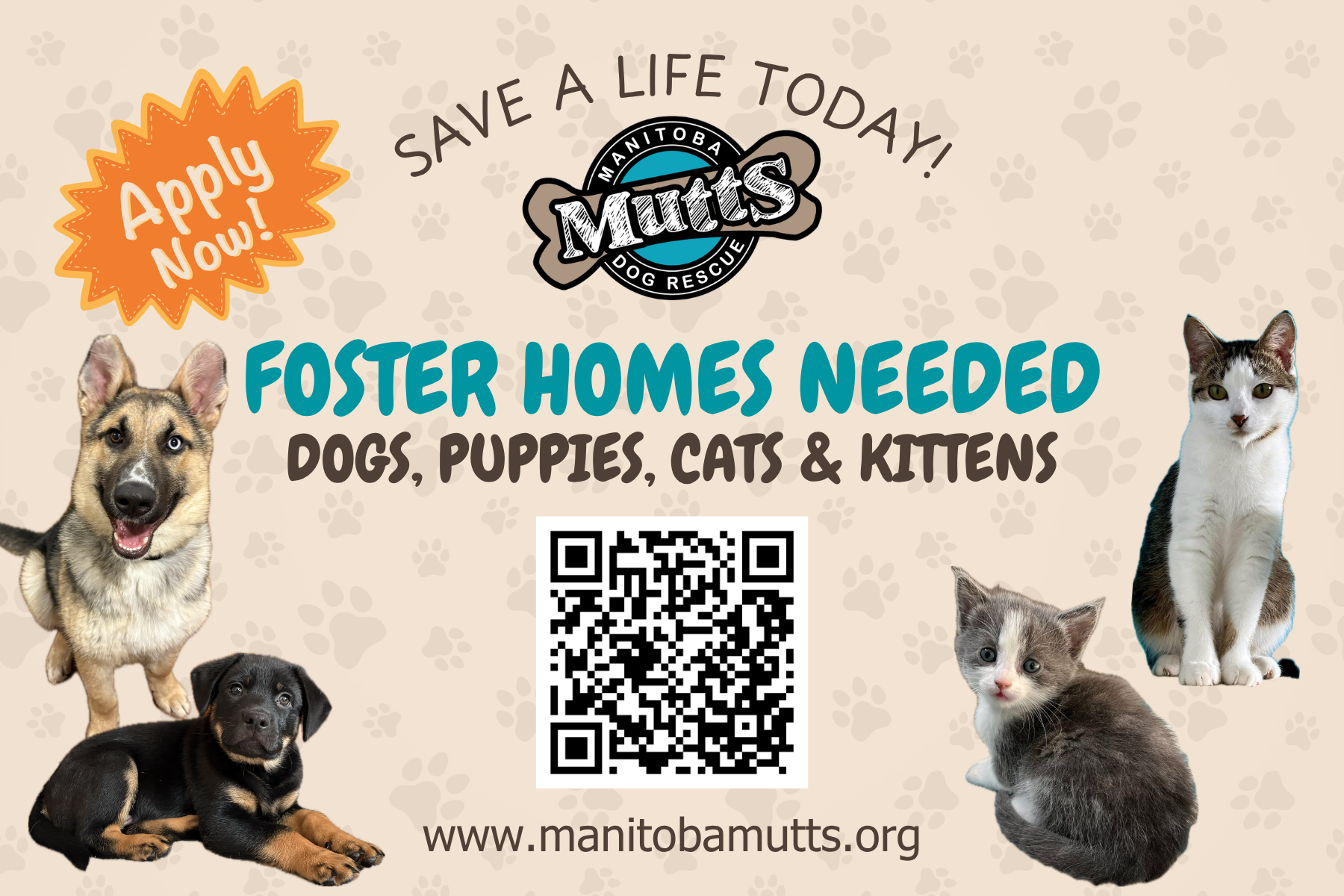 Foster Advertisement.png