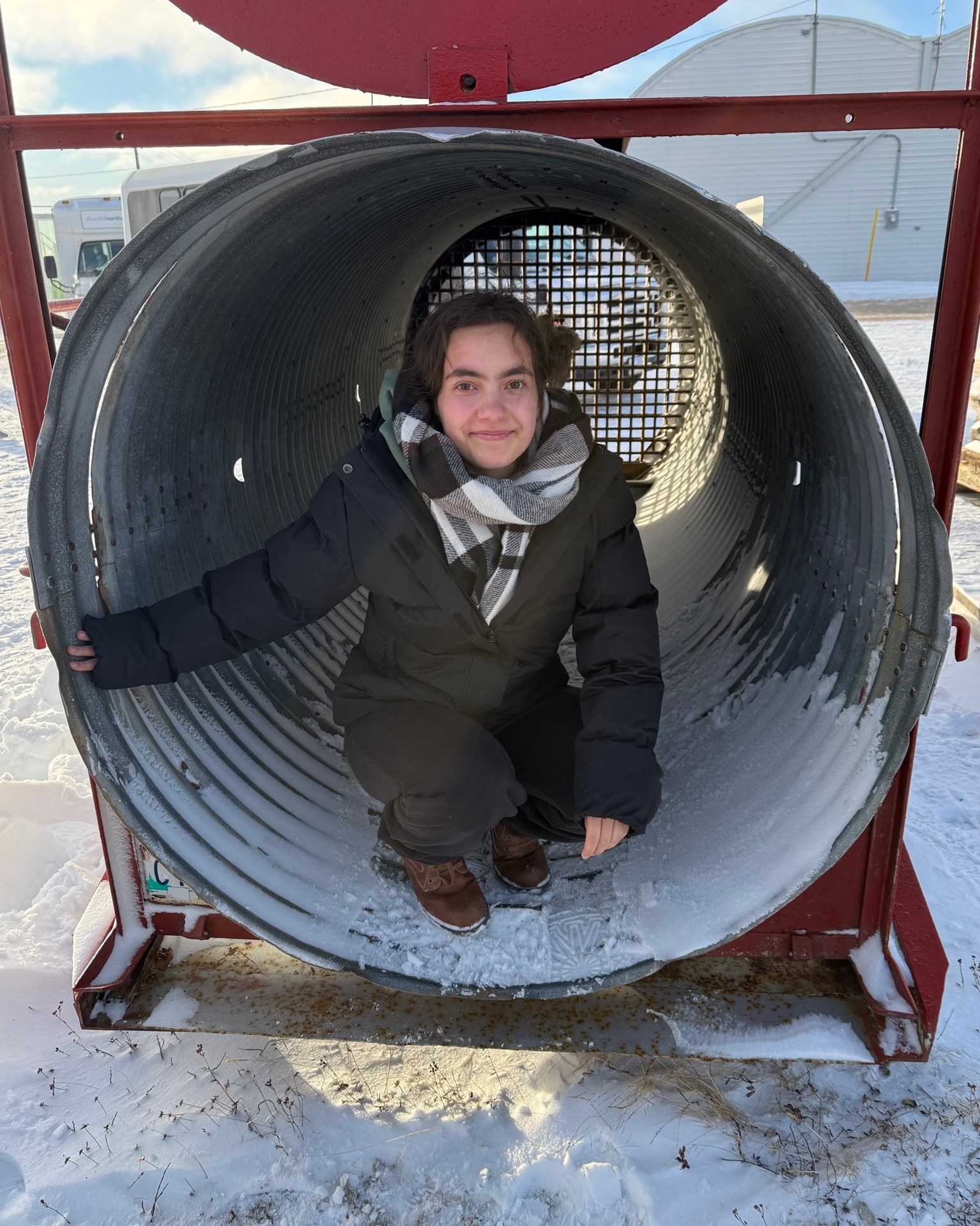 bear trap.jpg