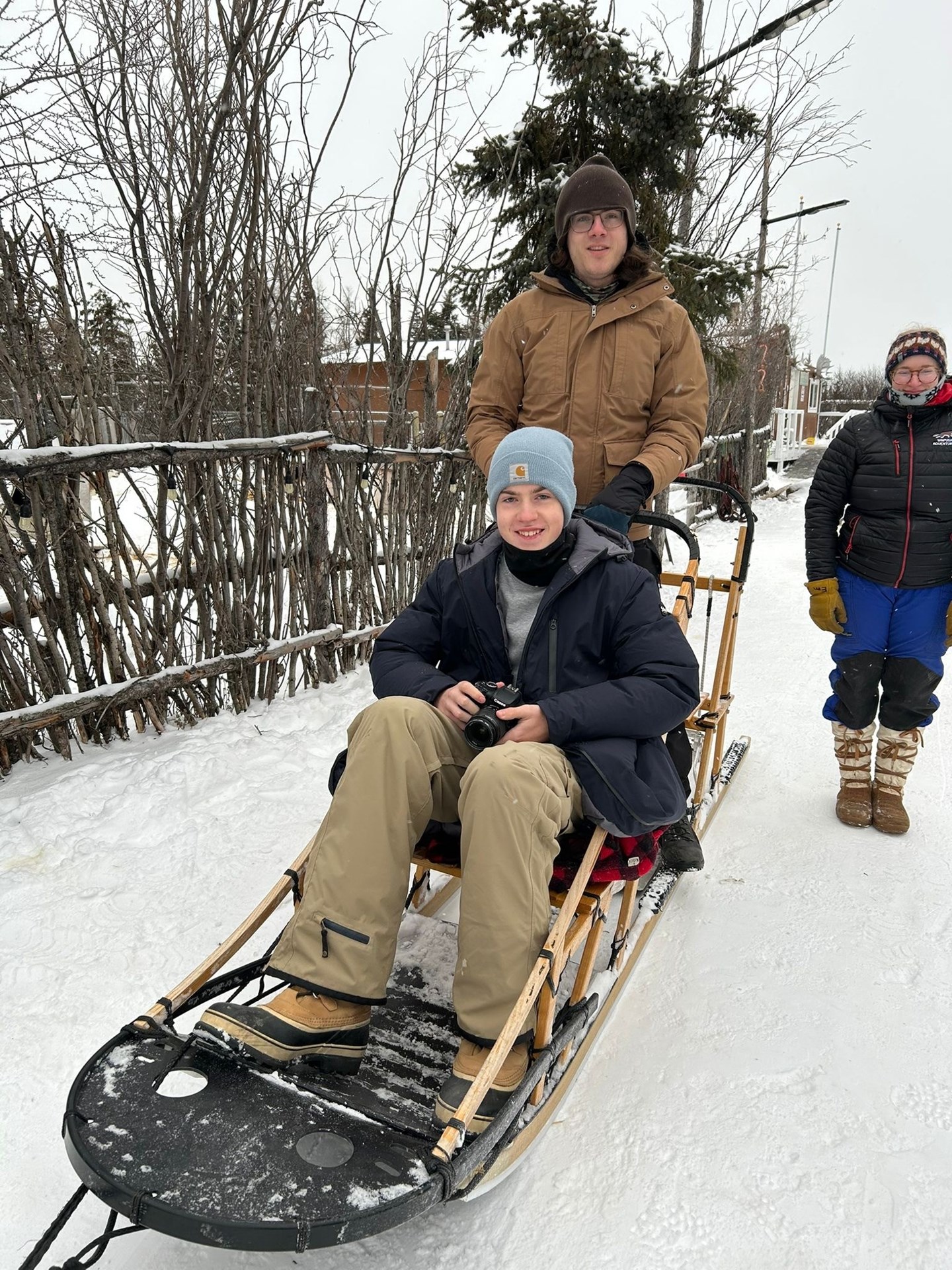 dogsled.jpg