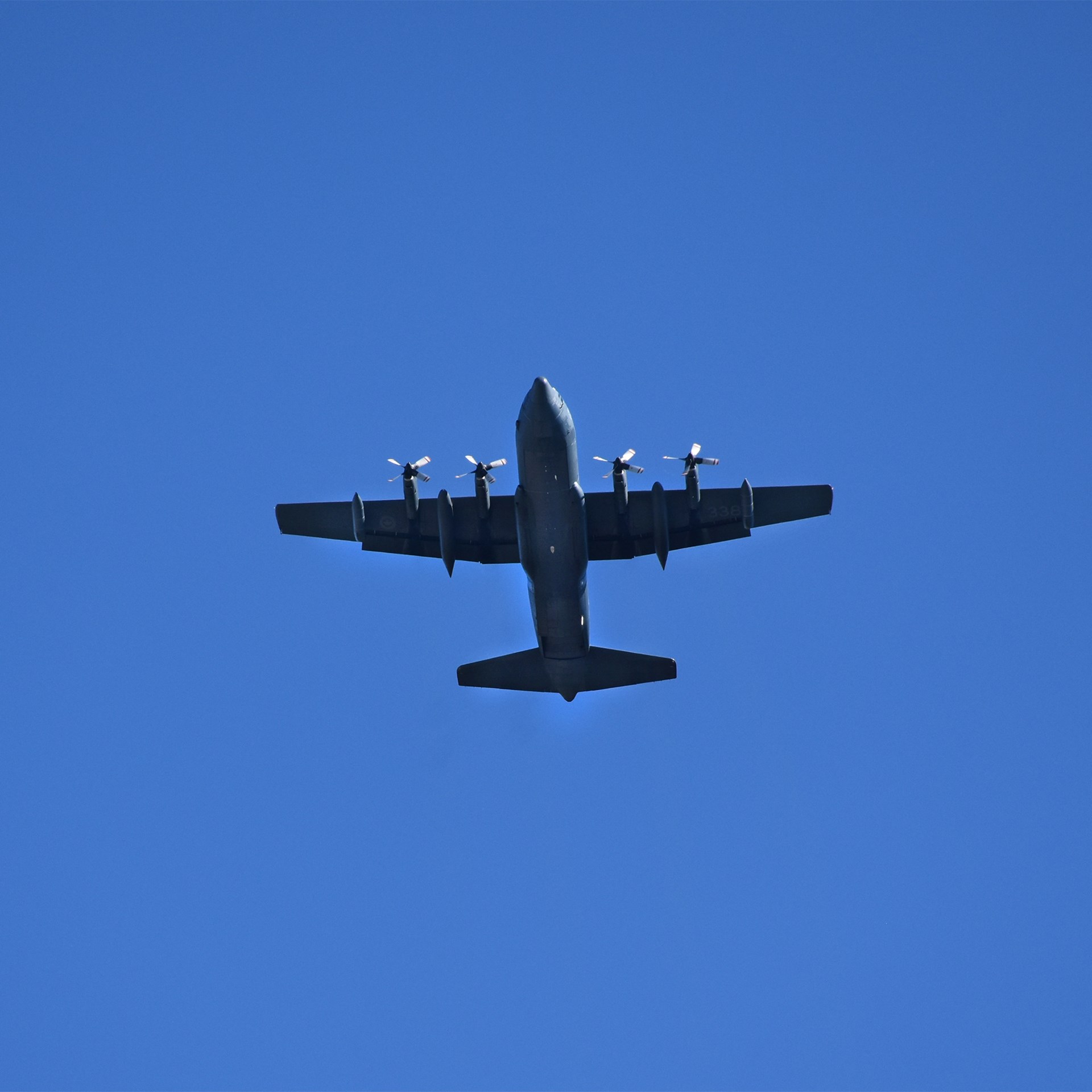DSC_0145_plane_square.jpg