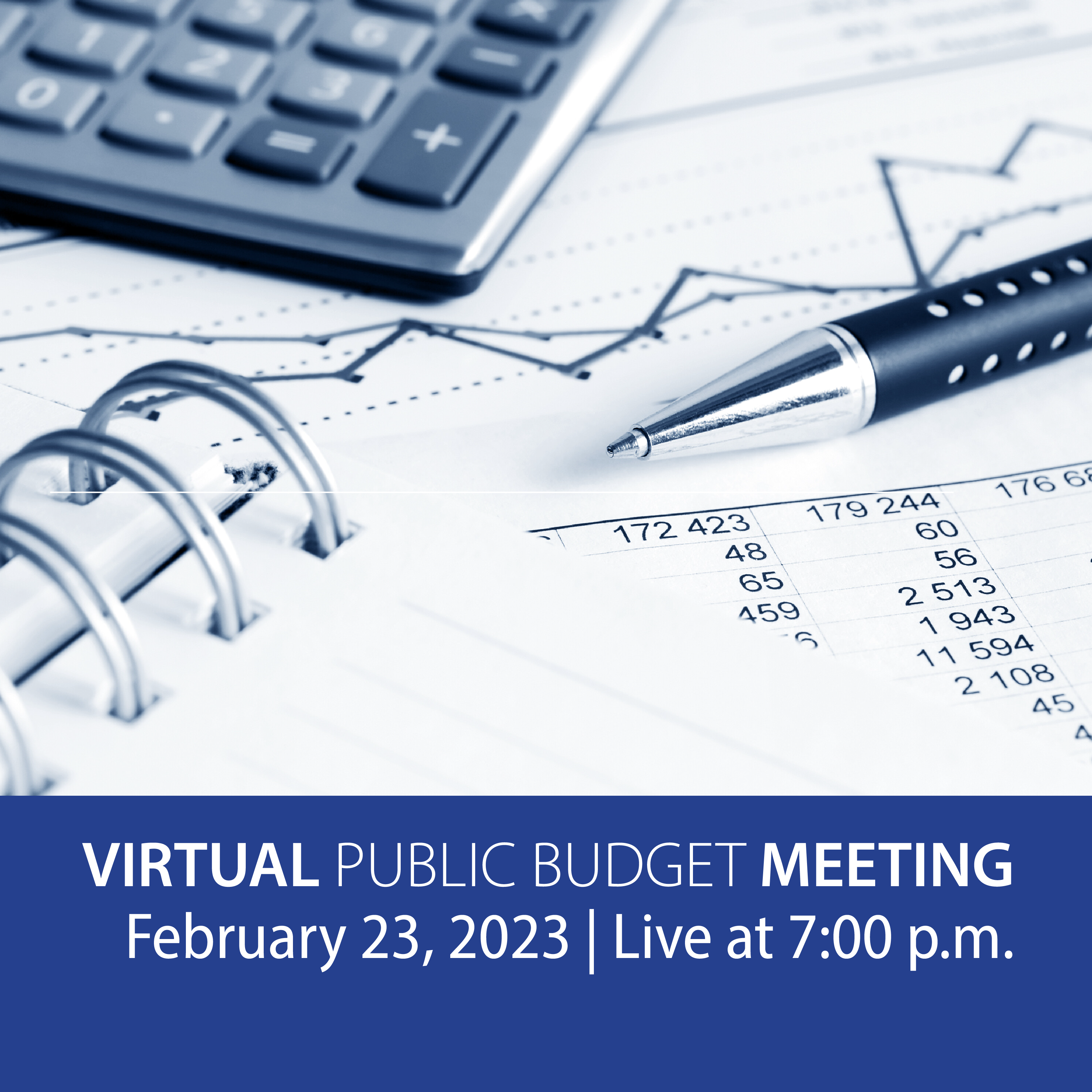 virtualmeetingpromo_Instagram.png
