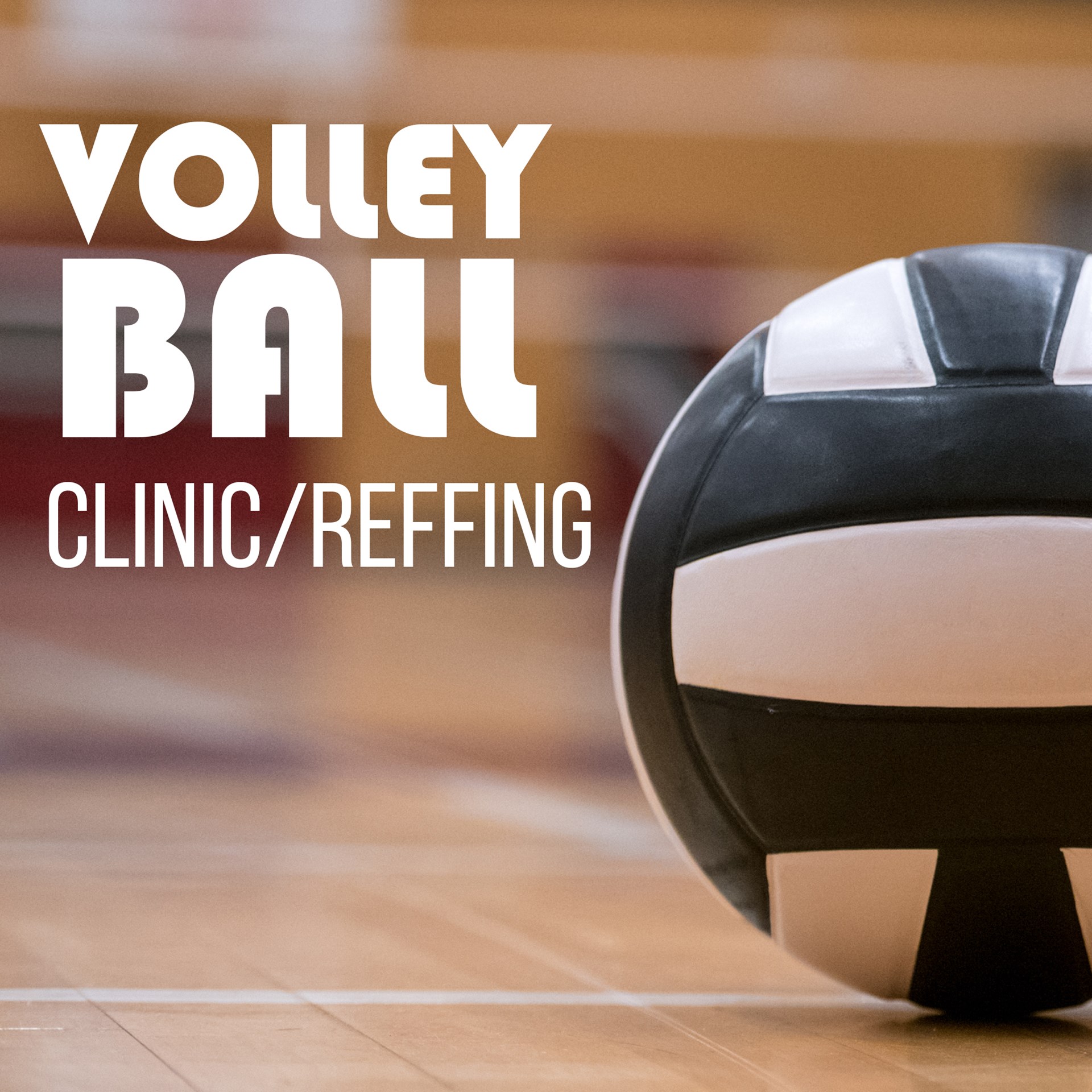 vollyball2024_Square.jpg