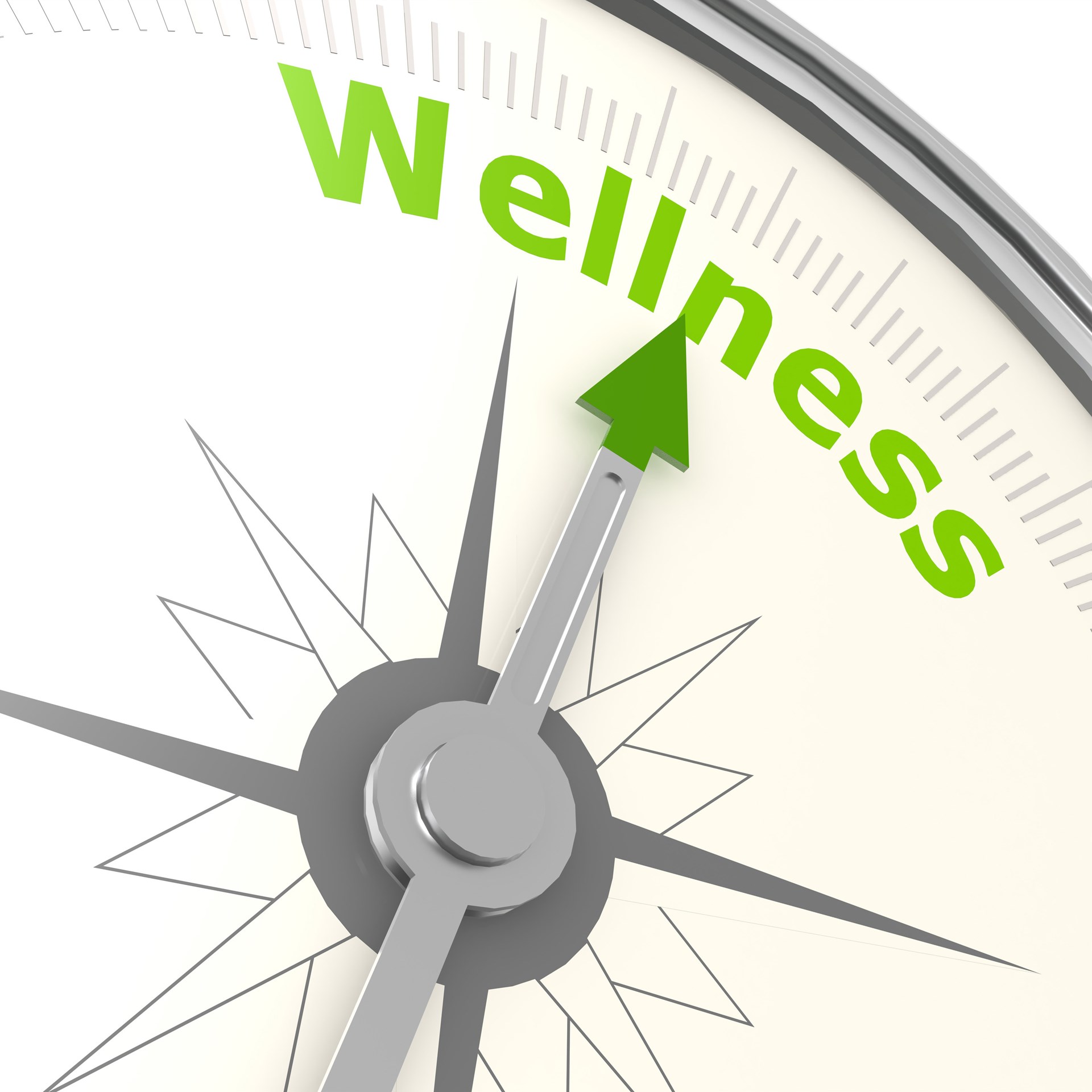 wellness1.jpg