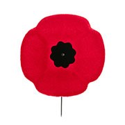redpoppy2.jpg