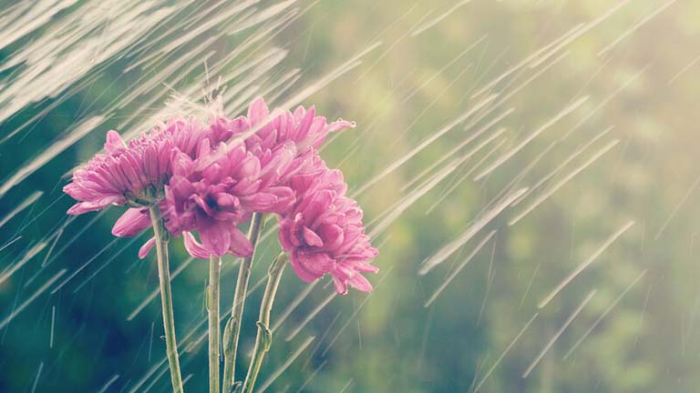 IMPORTANT DATES IN APRIL 