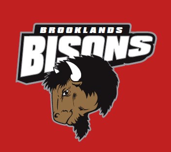 bison logo.jpg