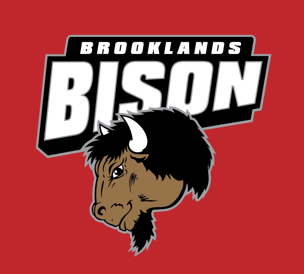 bison logo.jpg