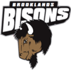 Brooklands School logo