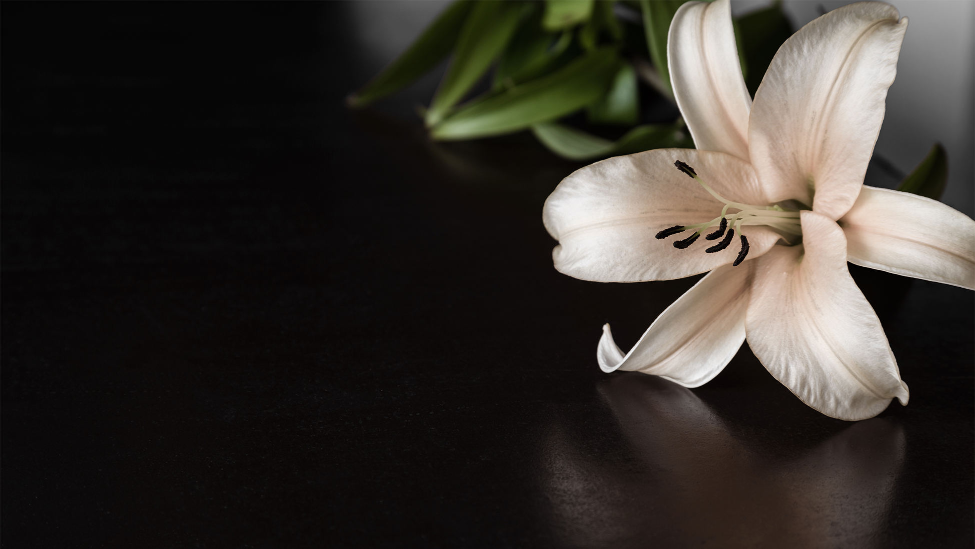 Heartfelt Sympathies