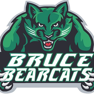 Bruce Logo.jpg