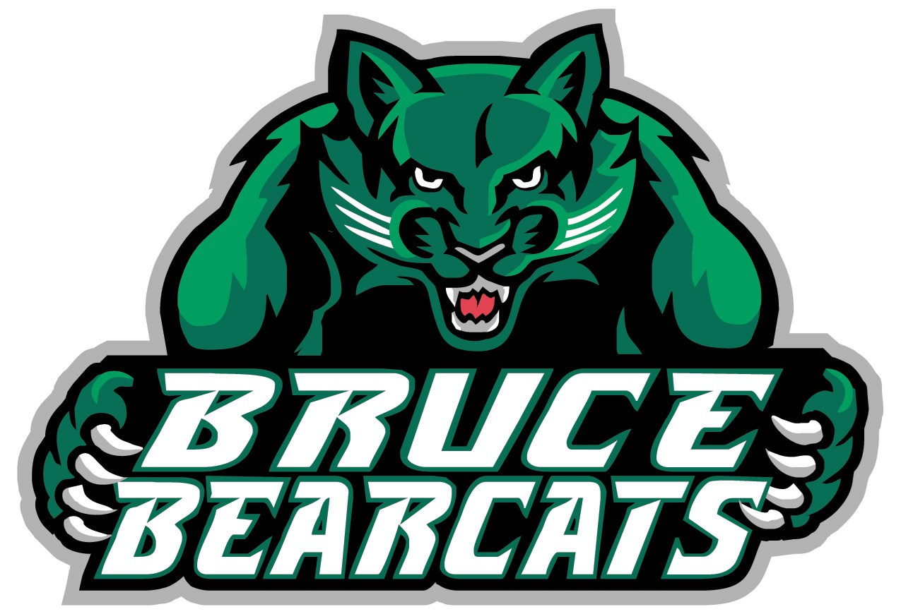 Bruce-Bearcats-logo.jpg
