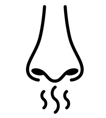 nose.png