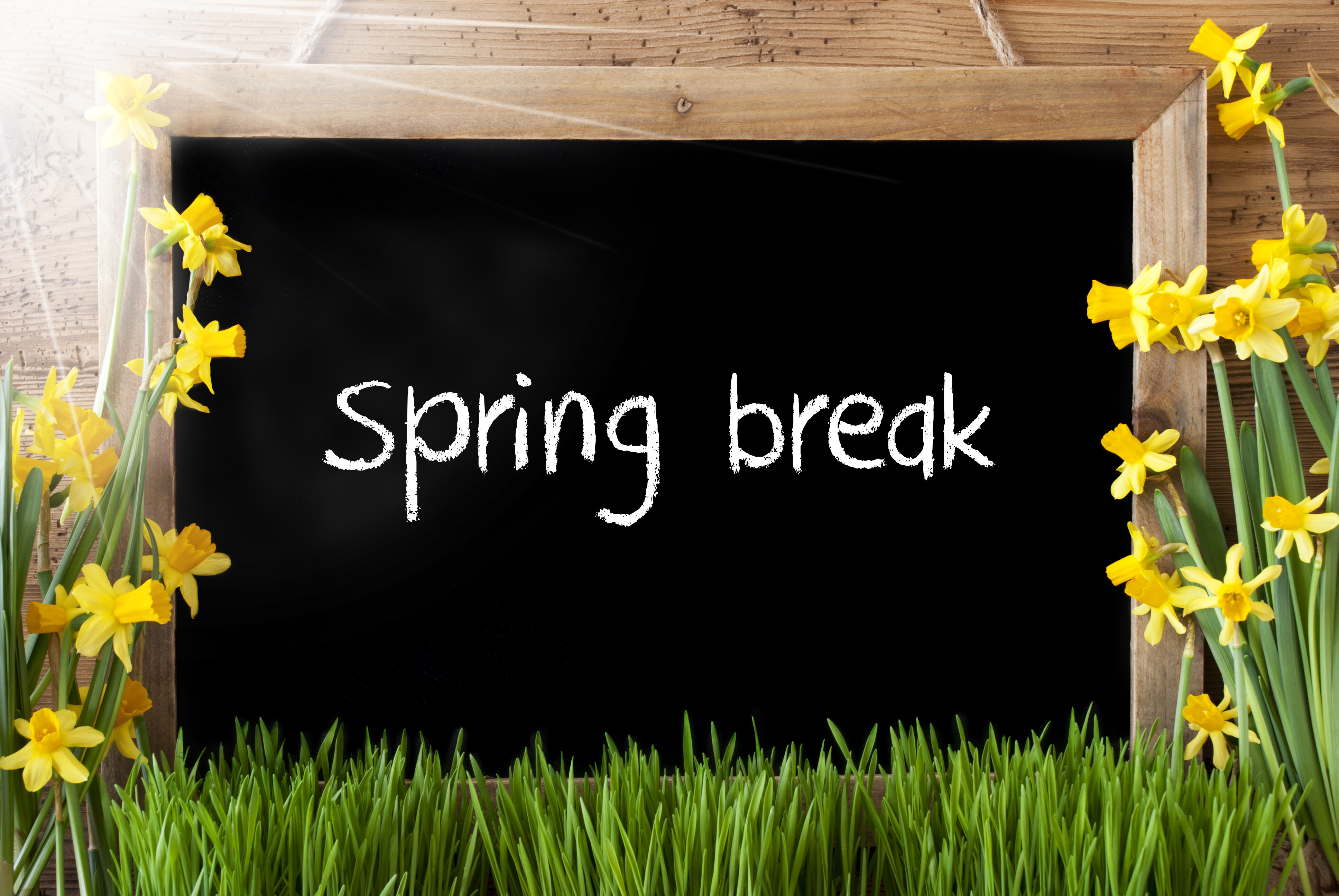Spring Break 2026