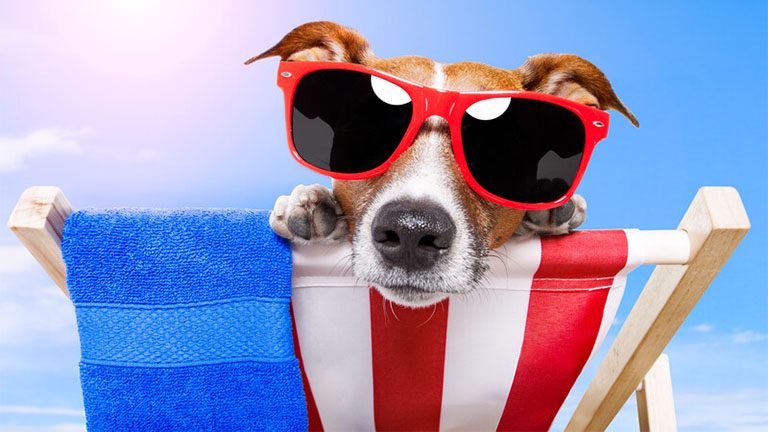 Summer Break!