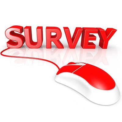 Survey mouse.jpg