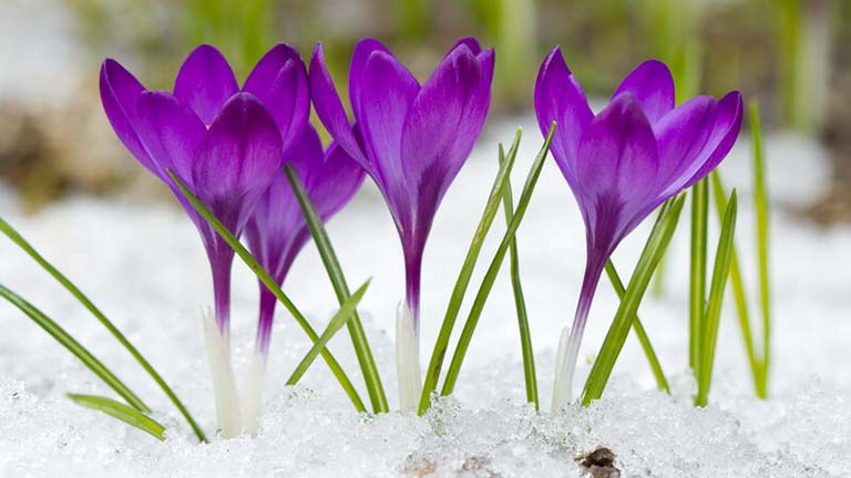 March Dates to Remember