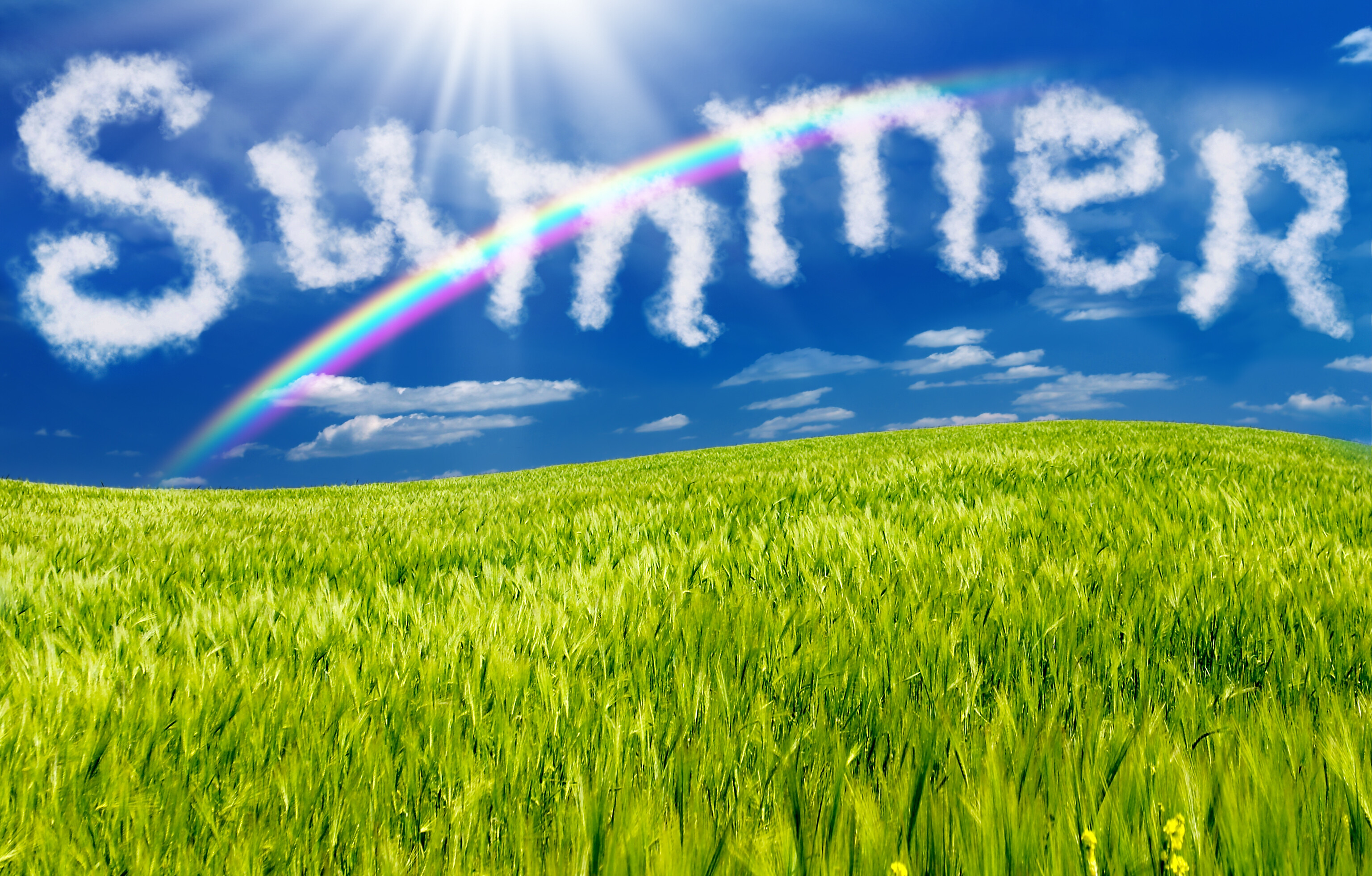 Have a Wonderful Summer!