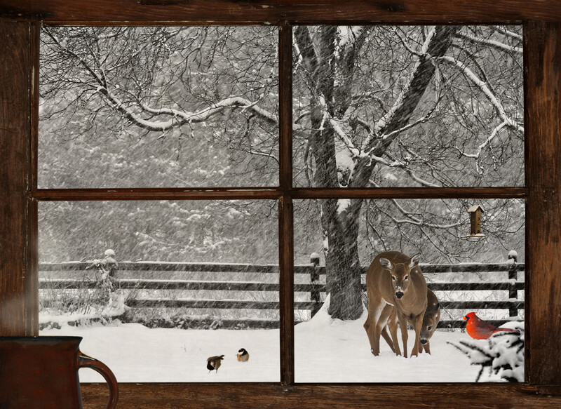 December Dates to Remember