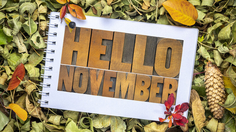 Important Dates ~ November