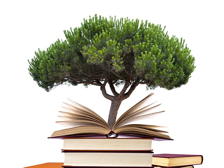 Literacy tree.jpg
