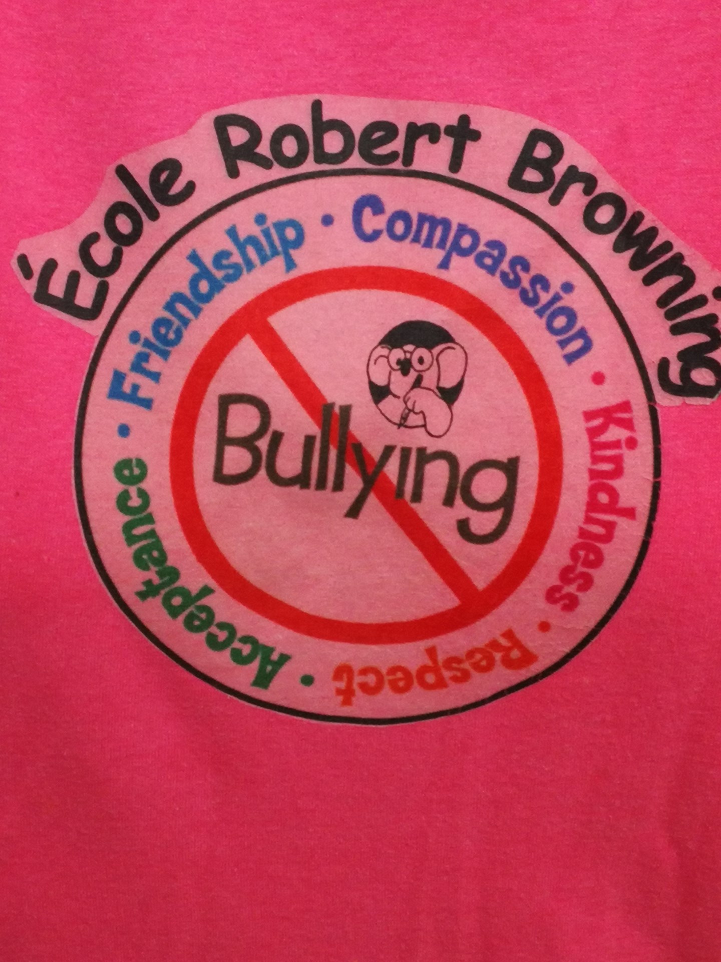 Bully shirt.jpg