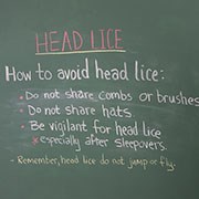 Head Lice.jpg